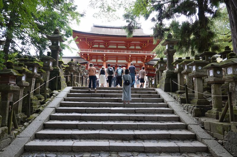 Viewing photos→2024→2024-09-15→46