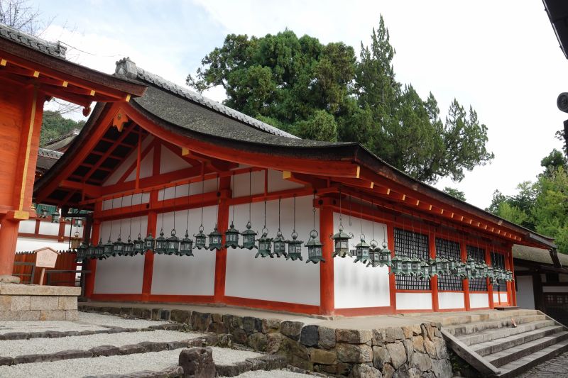 Viewing photos→2024→2024-09-15→51