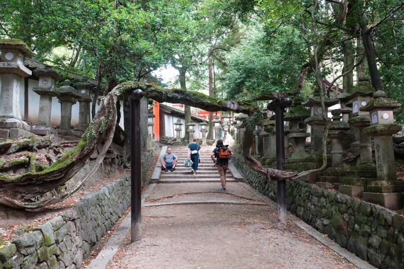 Viewing photos→2024→2024-09-15→54