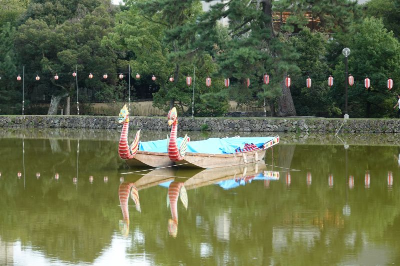 Viewing photos→2024→2024-09-15→58