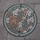 59.jpg - 2024:09:15 07:23:12