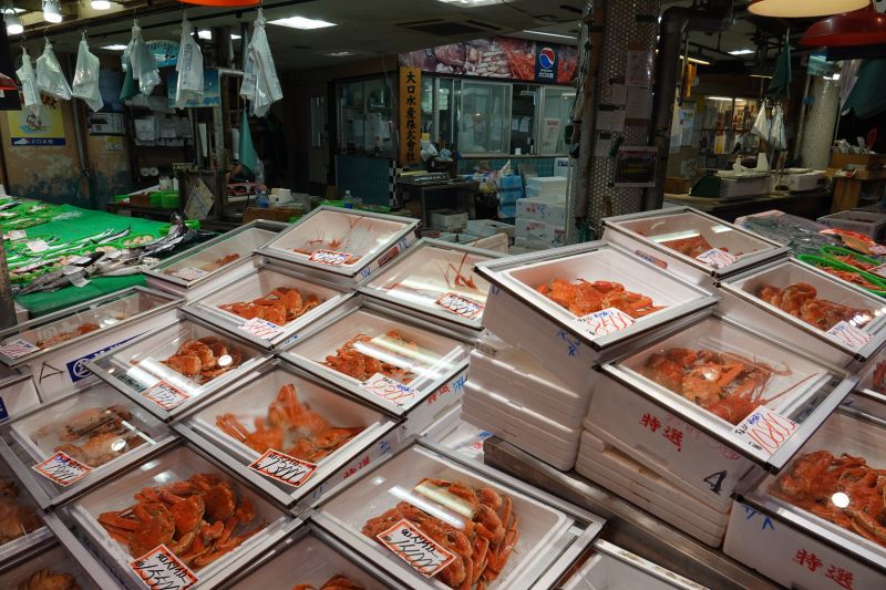 Viewing photos→2024→2024-09-16→11