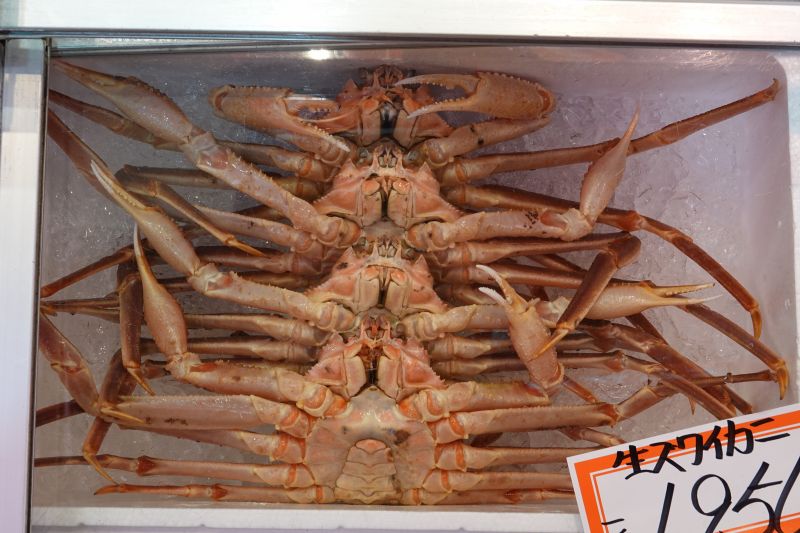 Viewing photos→2024→2024-09-16→12