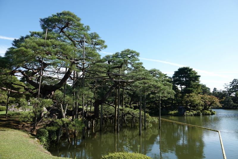 Viewing photos→2024→2024-09-16→29