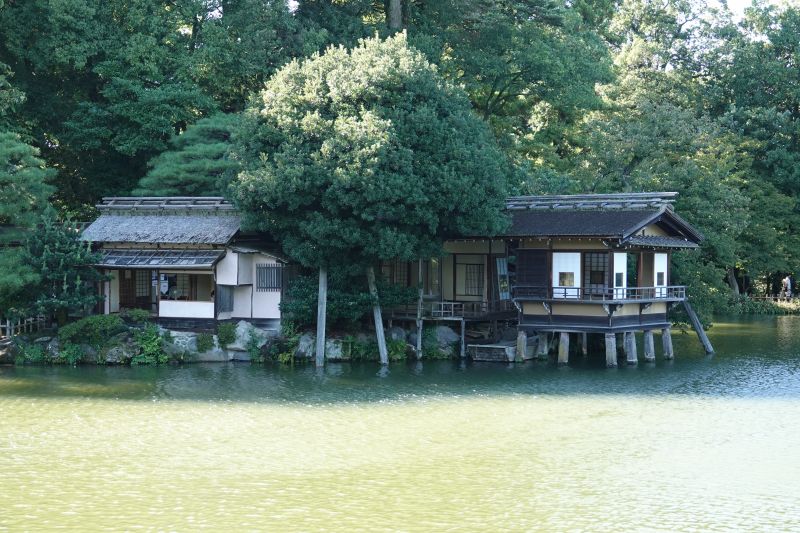 Viewing photos→2024→2024-09-16→32