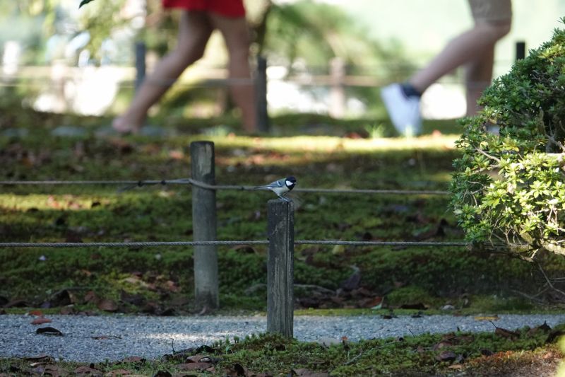 Viewing photos→2024→2024-09-16→35