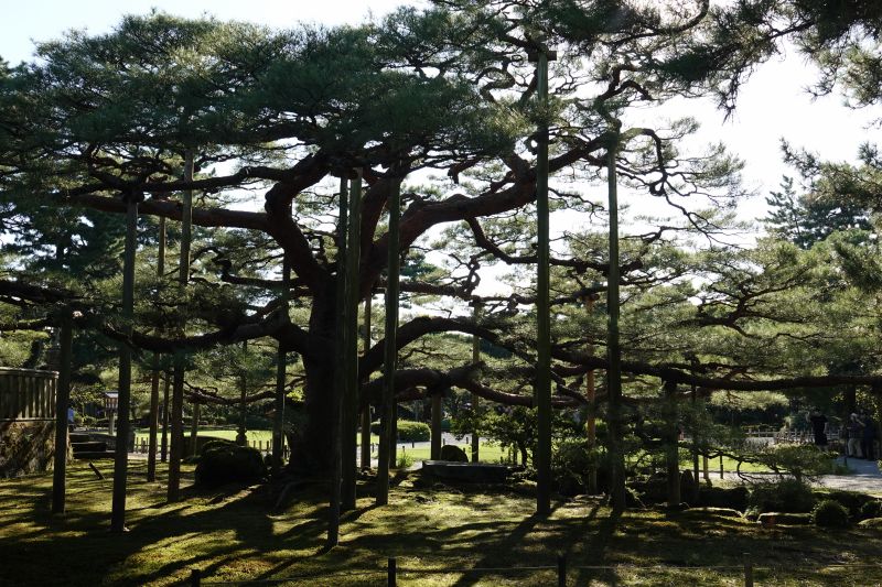 Viewing photos→2024→2024-09-16→37