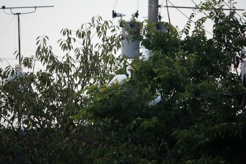 Viewing photos→2024→2024-09-16→63