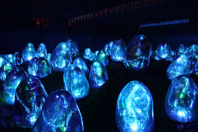 Viewing photos→2024→2024-09-17→022