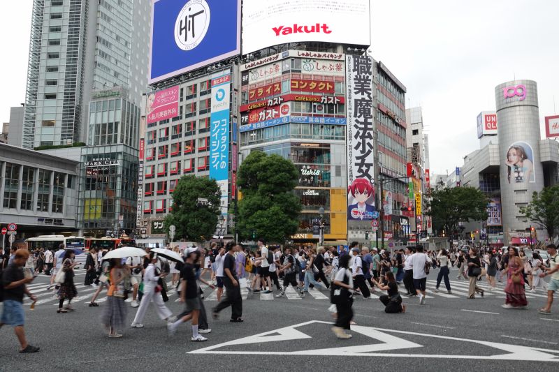 Viewing photos→2024→2024-09-17→039