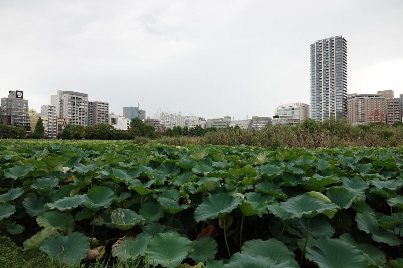 Viewing photos→2024→2024-09-17→113