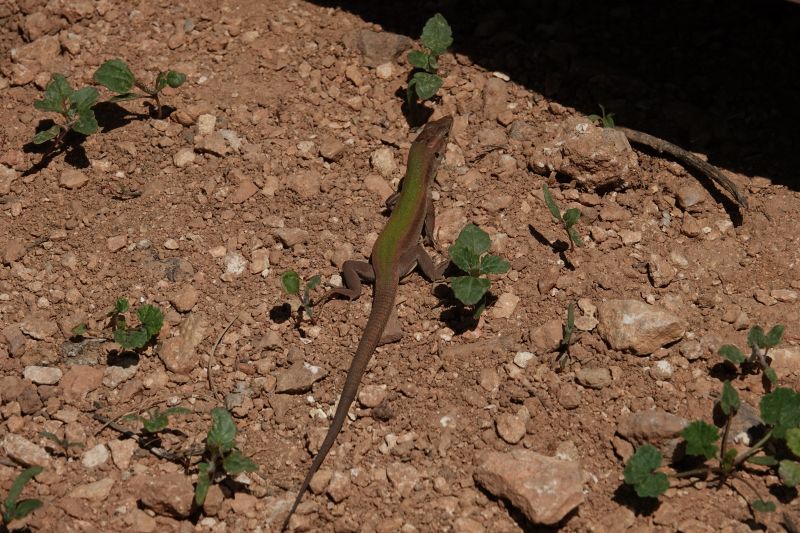 Viewing photos→2025→2025-04-18→065