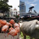 2025-07-12 - 2025-07-22<br/>
<b>San Diego, California</b>
