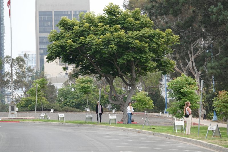 Viewing photos→2025→2025-07-12→055