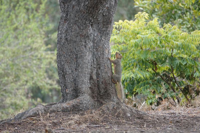 Viewing photos→2025→2025-07-12→056