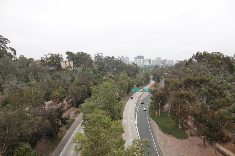 Viewing photos→2025→2025-07-12→060