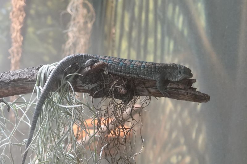 Viewing photos→2025→2025-07-12→065