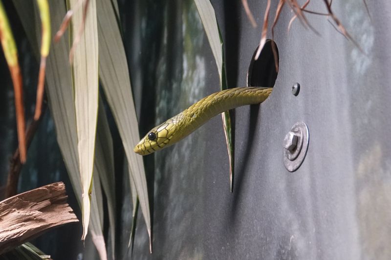 Viewing photos→2025→2025-07-12→066