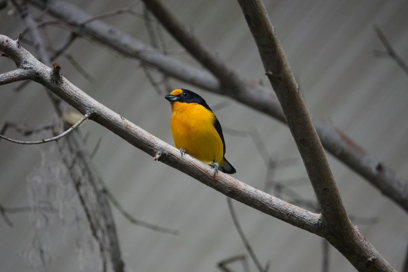 Viewing photos→2025→2025-07-12→070