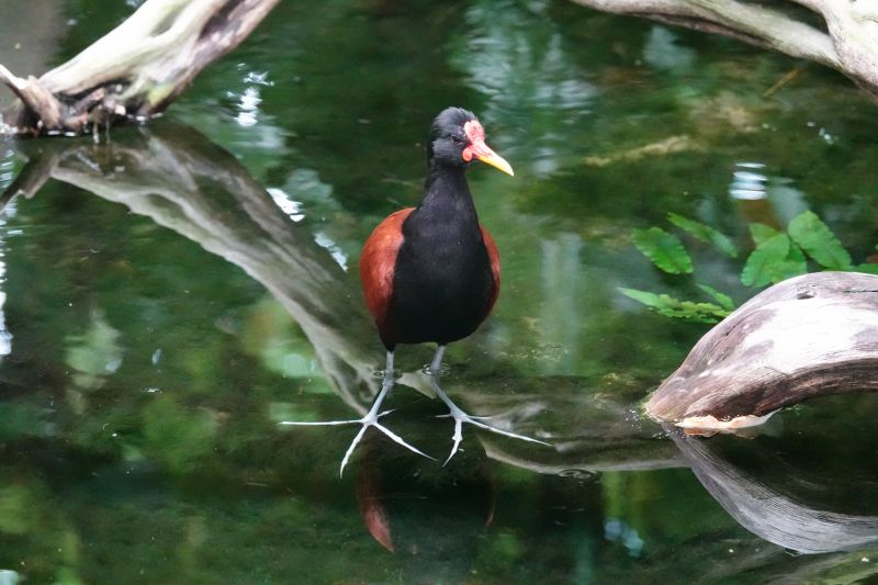 Viewing photos→2025→2025-07-12→072