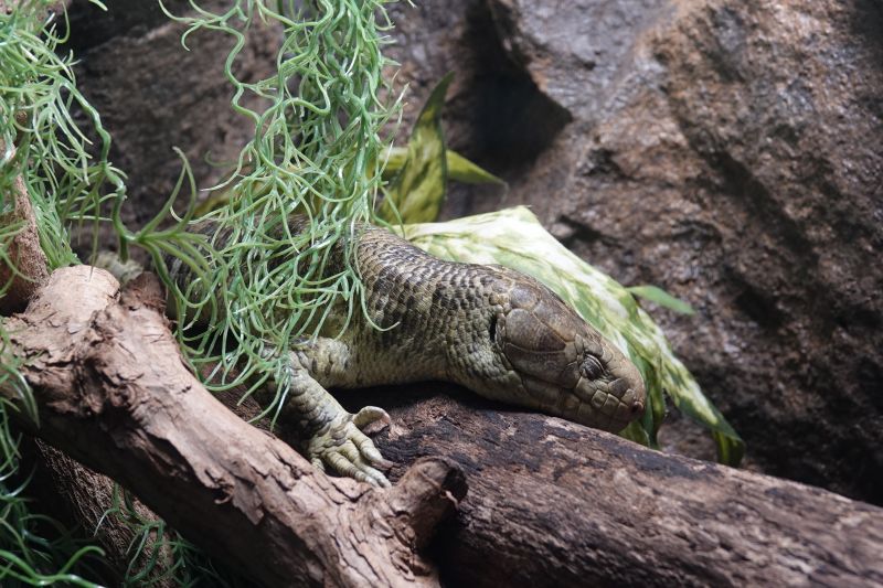 Viewing photos→2025→2025-07-12→076