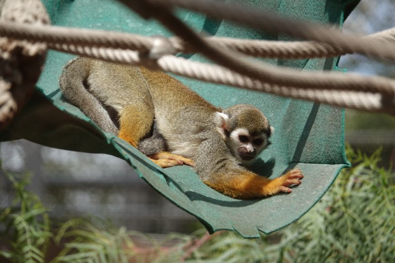 Viewing photos→2025→2025-07-12→077