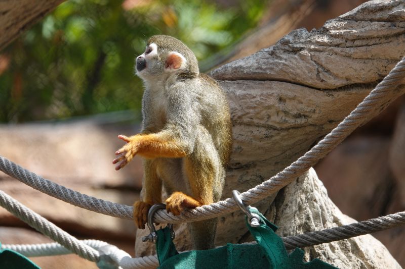 Viewing photos→2025→2025-07-12→079