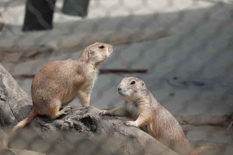 Viewing photos→2025→2025-07-12→081