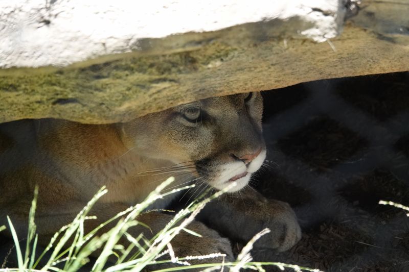 Viewing photos→2025→2025-07-12→085