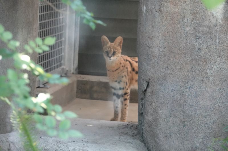 Viewing photos→2025→2025-07-12→092