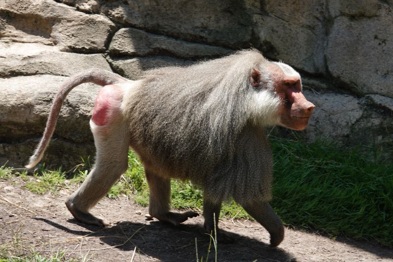 Viewing photos→2025→2025-07-12→095