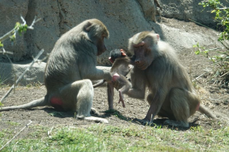 Viewing photos→2025→2025-07-12→096