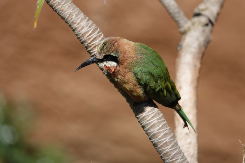 Viewing photos→2025→2025-07-12→098