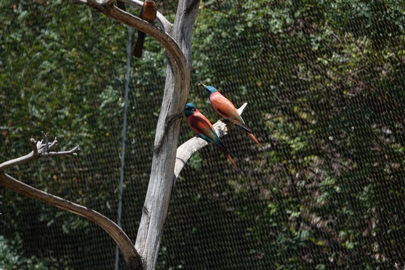 Viewing photos→2025→2025-07-12→101