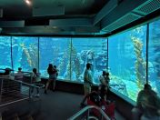 103.jpg - 2025:07:13 12:38:16