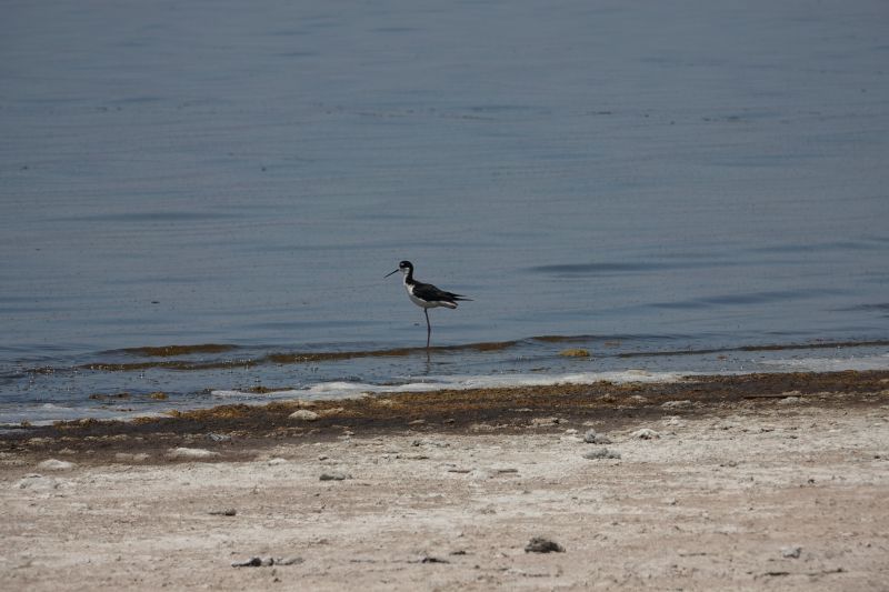 Viewing photos→2025→2025-07-20→002