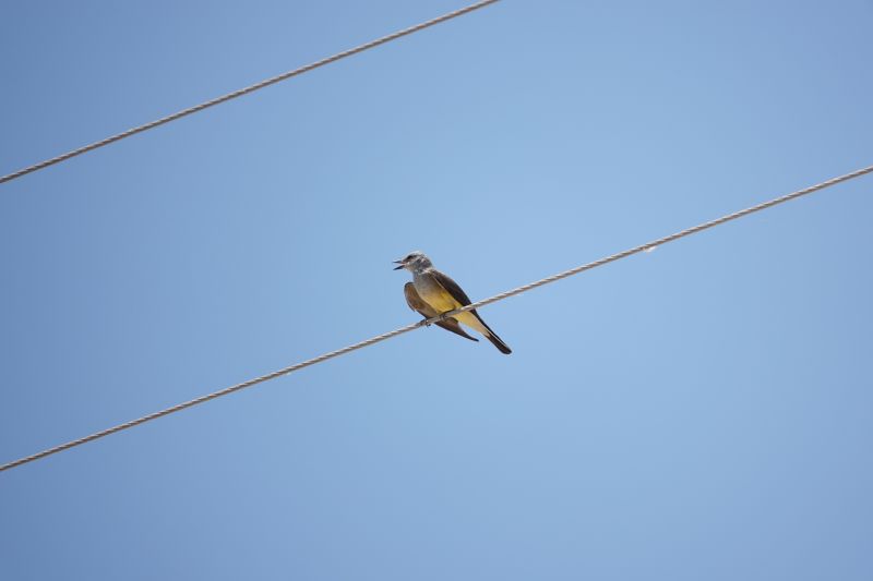 Viewing photos→2025→2025-07-20→026