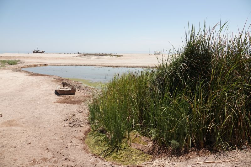 Viewing photos→2025→2025-07-20→027