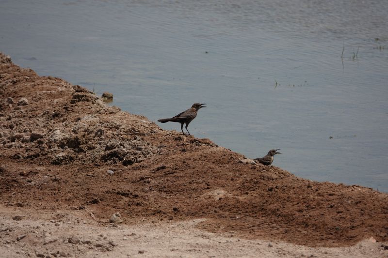 Viewing photos→2025→2025-07-20→029