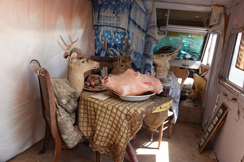 Viewing photos→2025→2025-07-20→056