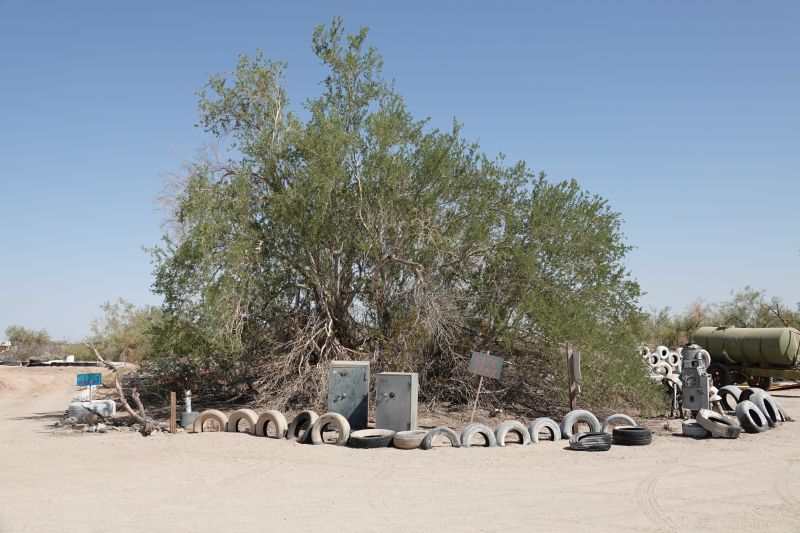 Viewing photos→2025→2025-07-20→087