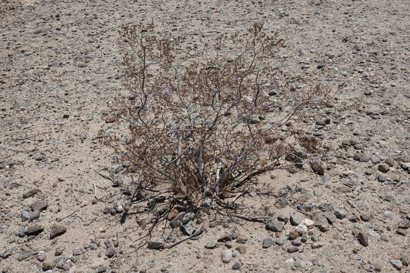 Viewing photos→2025→2025-07-20→101