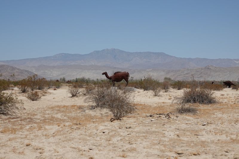 Viewing photos→2025→2025-07-20→108