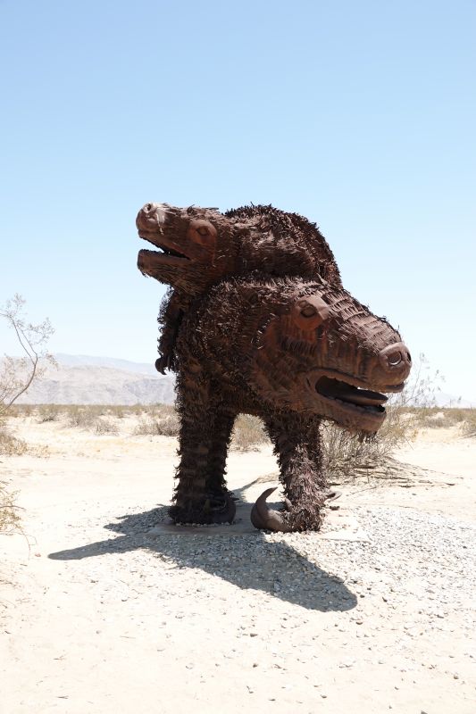 Viewing photos→2025→2025-07-20→110