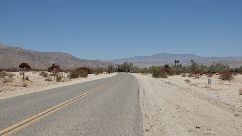 Viewing photos→2025→2025-07-20→113