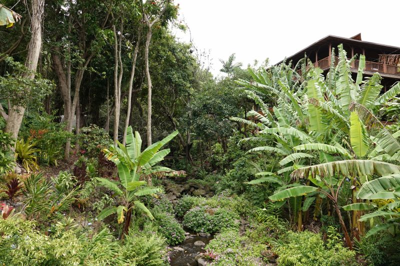 Viewing photos→2025→2025-07-22→10