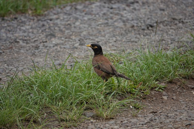 Viewing photos→2025→2025-07-22→11