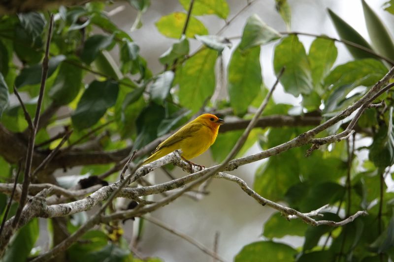 Viewing photos→2025→2025-07-22→14