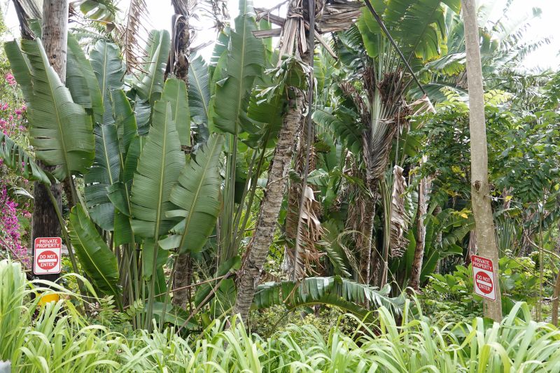 Viewing photos→2025→2025-07-22→16