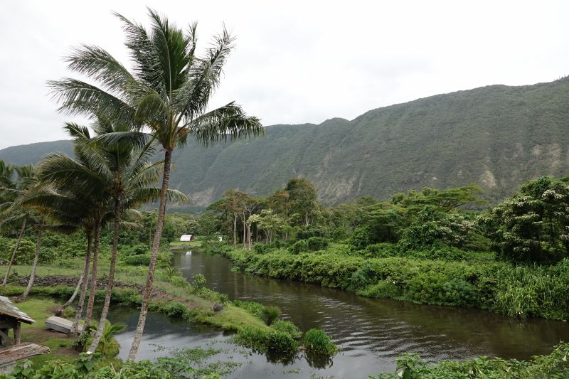 Viewing photos→2025→2025-07-22→22